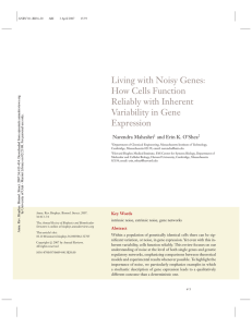 Living with Noisy Genes: How Cells Function Reliably with Inherent Variability in Gene