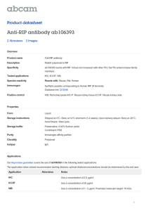 Anti-RIP antibody ab106393 Product datasheet 2 Abreviews 3 Images