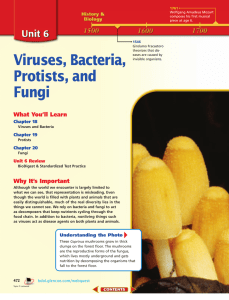 Viruses, Bacteria, Protists, and Fungi What You’ll Learn