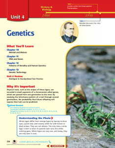 Genetics What You’ll Learn Why It’s Important Chapter 10