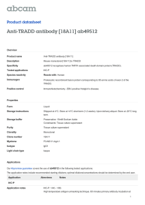 Anti-TRADD antibody [18A11] ab49512 Product datasheet Overview Product name