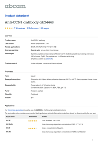 Anti-CCN1 antibody ab24448 Product datasheet 7 Abreviews 3 Images