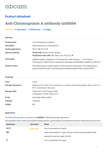 Anti-Chromogranin A antibody ab85554 Product datasheet 3 Abreviews 5 Images