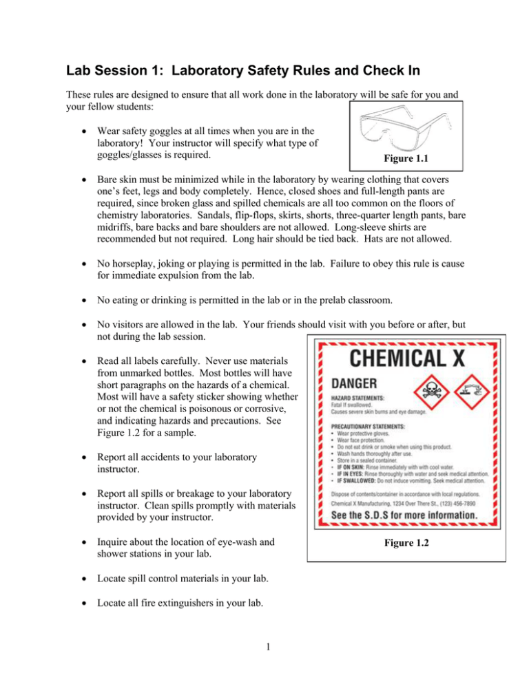 lab safety rules essay