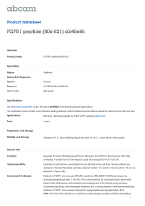 FGFR1 peptide (806-821) ab45685 Product datasheet Overview Product name