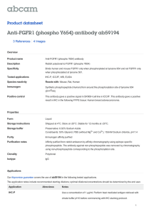 Anti-FGFR1 (phospho Y654) antibody ab59194 Product datasheet 3 References 4 Images