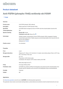 Anti-FGFR4 (phospho Y642) antibody ab192589 Product datasheet 1 Image Overview