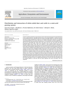 Distribution and interaction of white-tailed deer and cattle in a... grazing system