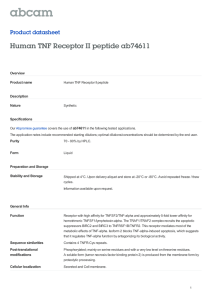 Human TNF Receptor II peptide ab74611 Product datasheet Overview Product name