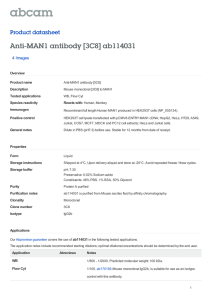 Anti-MAN1 antibody [3C8] ab114031 Product datasheet 4 Images Overview