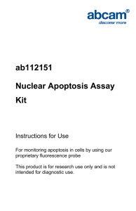 ab112151 Nuclear Apoptosis Assay Kit Instructions for Use