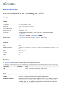 Anti-Steroid sulfatase antibody ab167562 Product datasheet 2 Images Overview