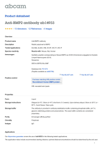 Anti-BMP2 antibody ab14933 Product datasheet 13 Abreviews 4 Images