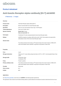 Anti-Insulin Receptor alpha antibody [83-7] ab36550