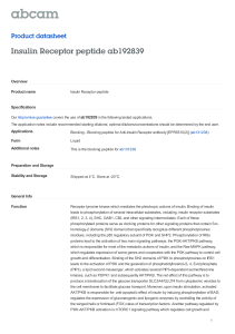 Insulin Receptor peptide ab192839 Product datasheet Overview Product name