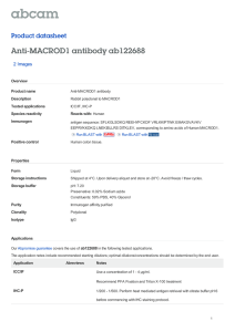 Anti-MACROD1 antibody ab122688 Product datasheet 2 Images Overview