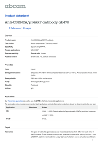 Anti-CDKN2A/p14ARF antibody ab470 Product datasheet 7 References 3 Images