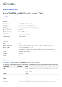 Anti-CDKN2A/p14ARF antibody ab53031 Product datasheet 1 Image Overview