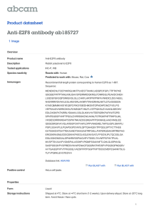 Anti-E2F8 antibody ab185727 Product datasheet 1 Image