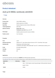 Anti-p18 INK4c antibody ab53035 Product datasheet 1 Image Overview
