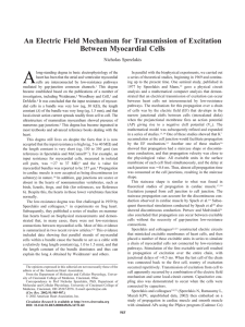 A An Electric Field Mechanism for Transmission of Excitation Between Myocardial Cells