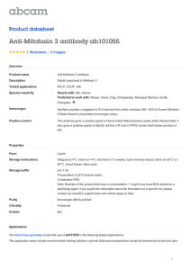 Anti-Mitofusin 2 antibody ab101055 Product datasheet 1 Abreviews 4 Images