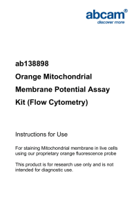 ab138898 Orange Mitochondrial Membrane Potential Assay Kit (Flow Cytometry)