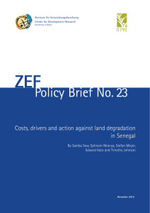 ZEF Policy Brief No. 23 Costs, drivers and action against land degradation