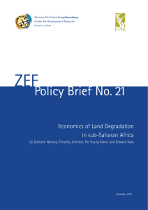 ZEF Policy Brief No. 21 Economics of Land Degradation in sub-Saharan Africa
