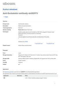 Anti-Endostatin antibody ab202973 Product datasheet 1 Image Overview