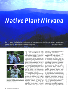 Native Plant Nirvana
