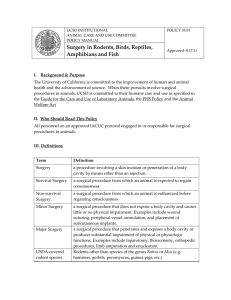 Surgery in Rodents, Birds, Reptiles, Amphibians and Fish