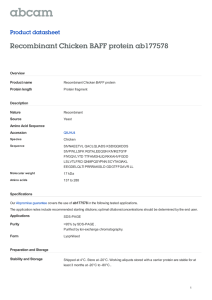 Recombinant Chicken BAFF protein ab177578 Product datasheet Overview Product name
