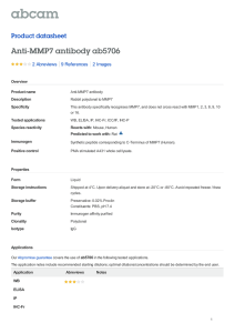 Anti-MMP7 antibody ab5706 Product datasheet 2 Abreviews 2 Images