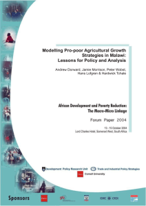 Modelling Pro-poor Agricultural Growth Strategies in Malawi: Lessons for Policy and Analysis