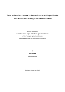 Water and nutrient balance in deep soils under shifting cultiv
