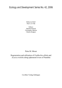 Ecology and Development Series No. 42, 2006  Petra M. Moser Faidherbia albida