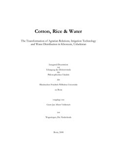 Cotton, Rice &amp; Water