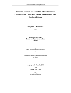Institutions, Incentives and Conflict in Coffee Forest Use and