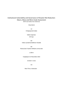 Institutional Vulnerability and Governance of Disaster Risk Reduction: