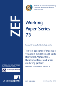 ZEF Working Paper Series 73