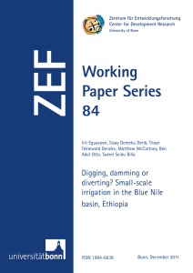 ZEF Working Paper Series 84