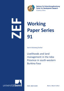 ZEF Working Paper Series 91