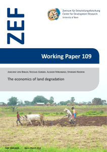 ZEF Working Paper 109 The economics of land degradation