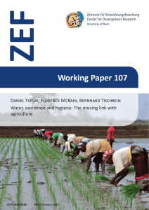 ZEF Working Paper 107