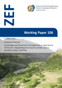 ZEF Working Paper 106