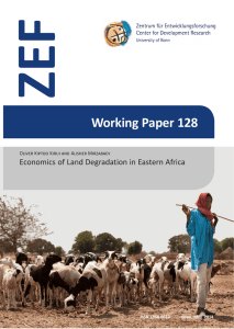 ZEF Working Paper 128 Economics of Land Degradation in Eastern Africa