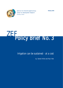 ZEF Policy BBrief N No. 3