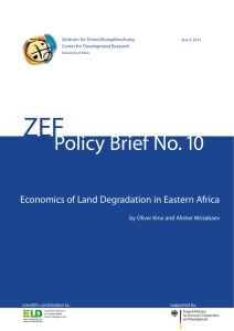 ZEF Policy Brief No. 10 Economics of Land Degradation in Eastern Africa