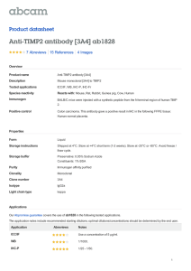 Anti-TIMP2 antibody [3A4] ab1828 Product datasheet 7 Abreviews 4 Images